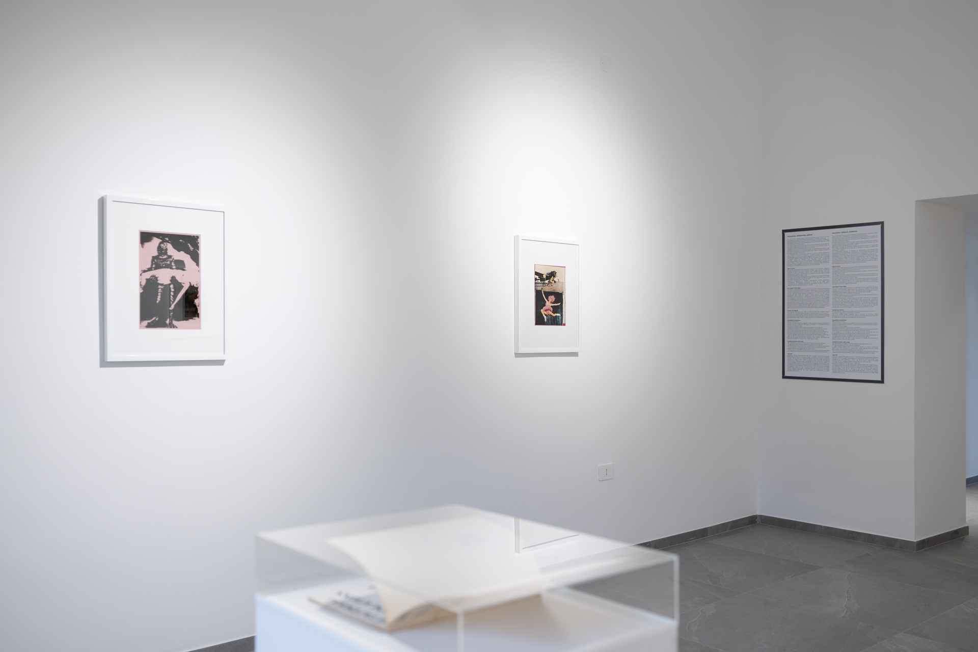 descrizione immagine